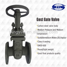 MADE IN CHINA pyl pn16 carbon steel gost gate valve